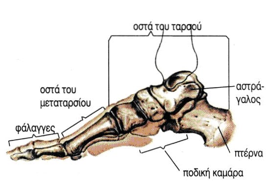 Μεταταρσαλγία Medica Feet